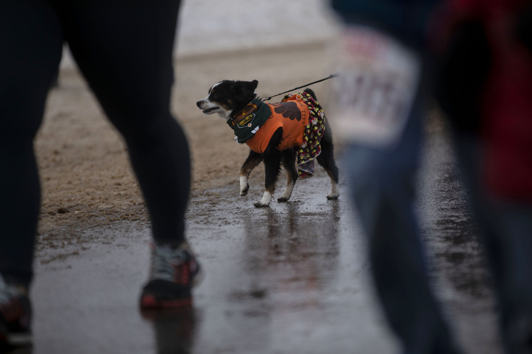 112919-news-turkeytrot 10.jpg